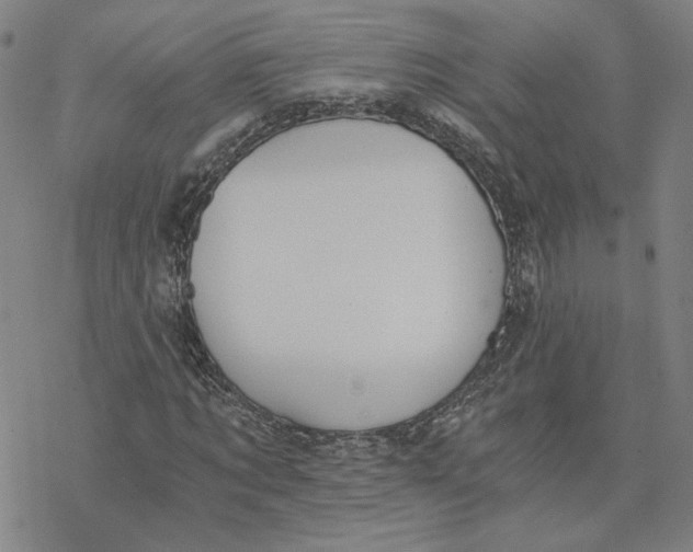 X0000076390869200610271550