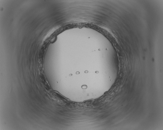 X0000076390871200610271550