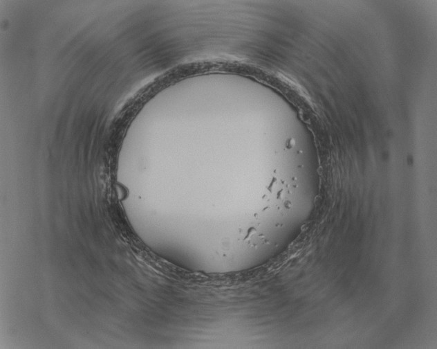 X0000076390872200610271550