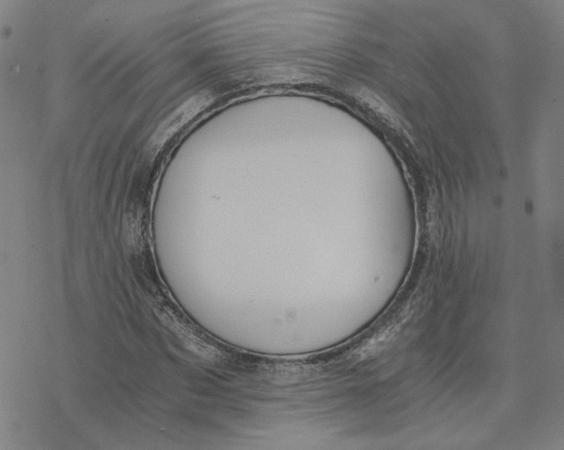 X0000076390873200610271550