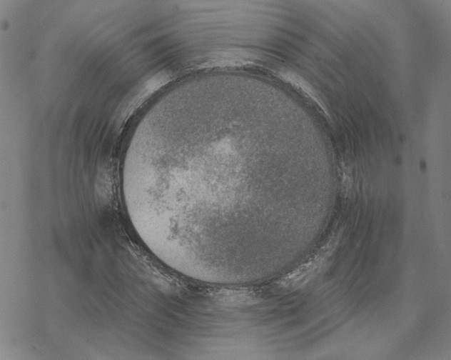 X0000076390874200610271550