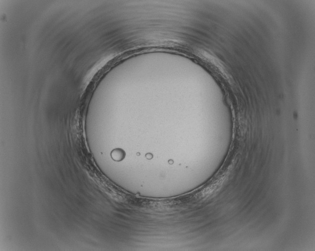 X0000076390875200610271550