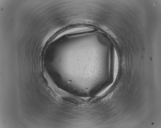 X0000076390877200610271550