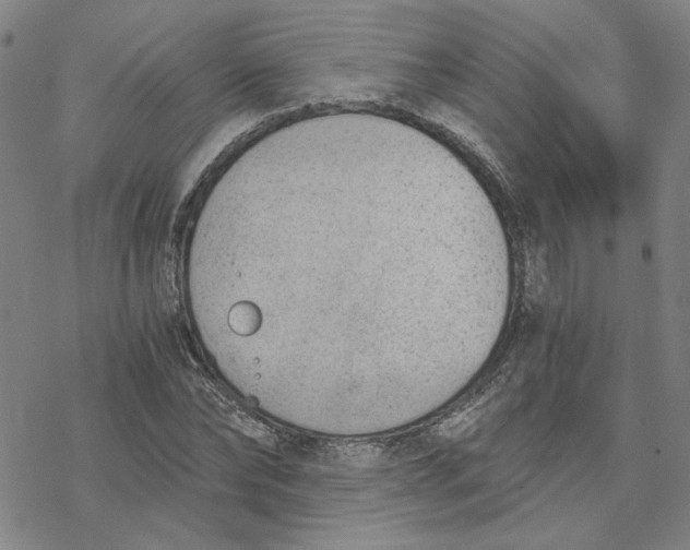 X0000076390878200610271550