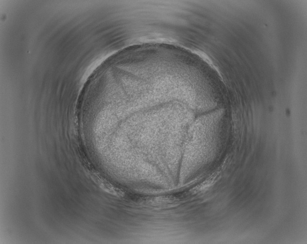 X0000076390879200610271550