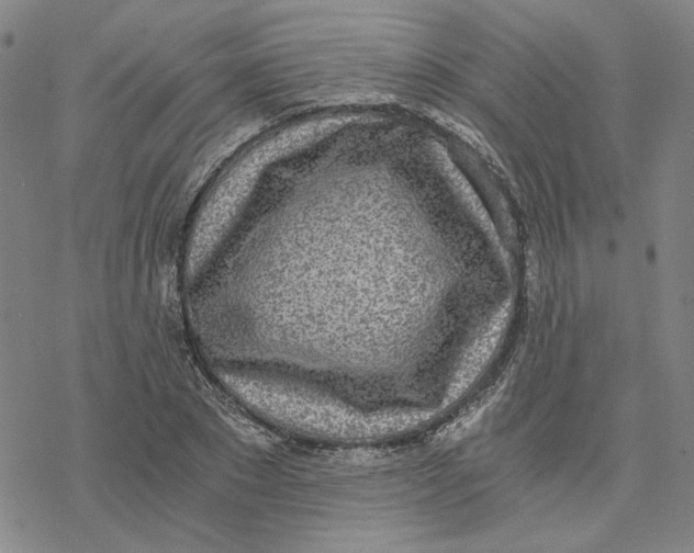 X0000076390881200610271550