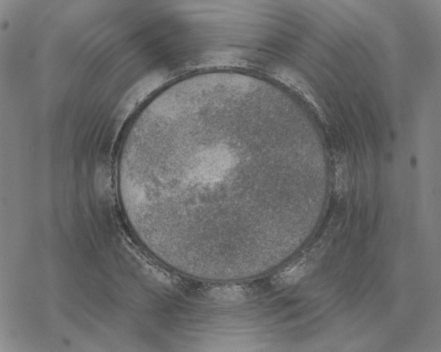 X0000076390882200610271550