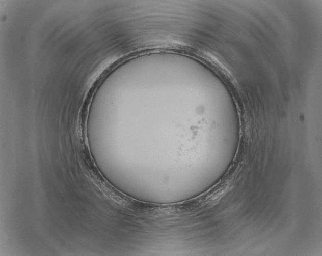 X0000076390883200610271550