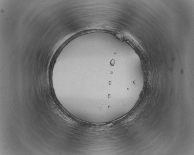 X0000076390884200610271550