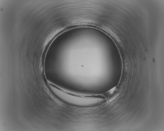 X0000076390885200610271550