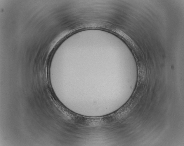 X0000076390886200610271550