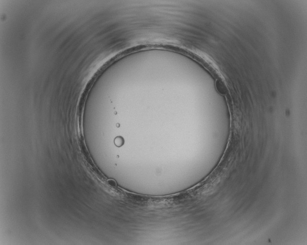 X0000076390887200610271550