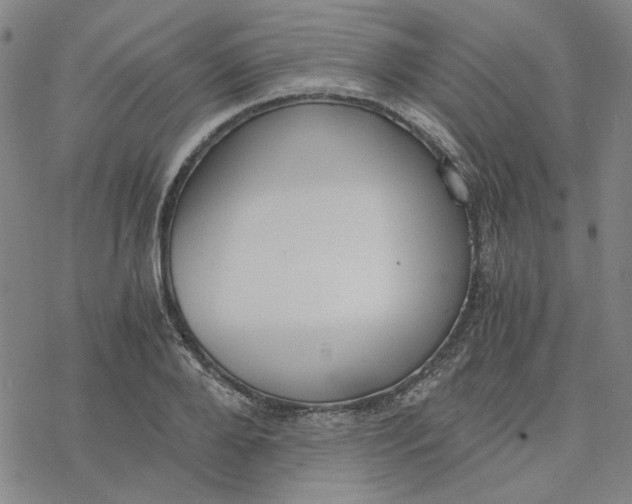 X0000076390888200610271550