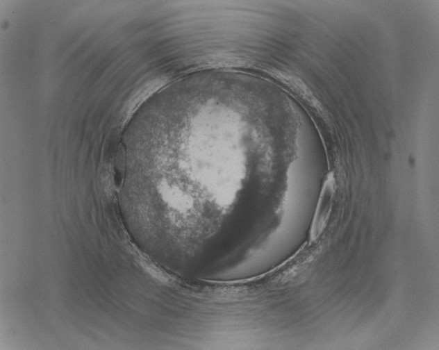 X0000076390889200610271550