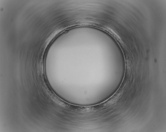 X0000076390891200610271550