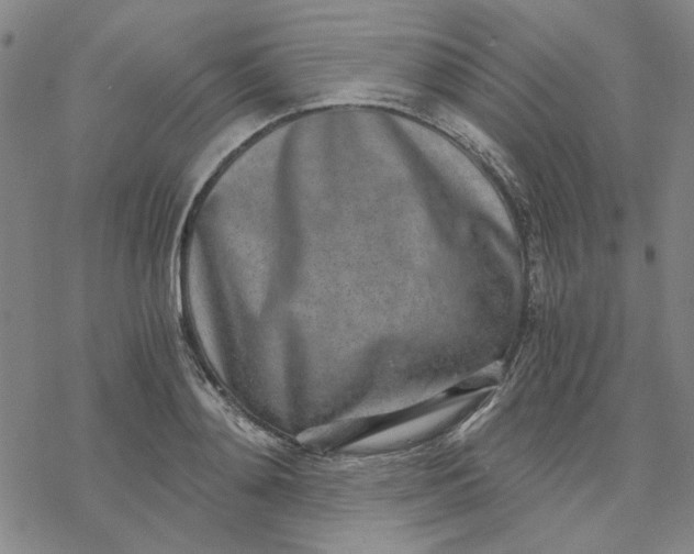 X0000076390892200610271550