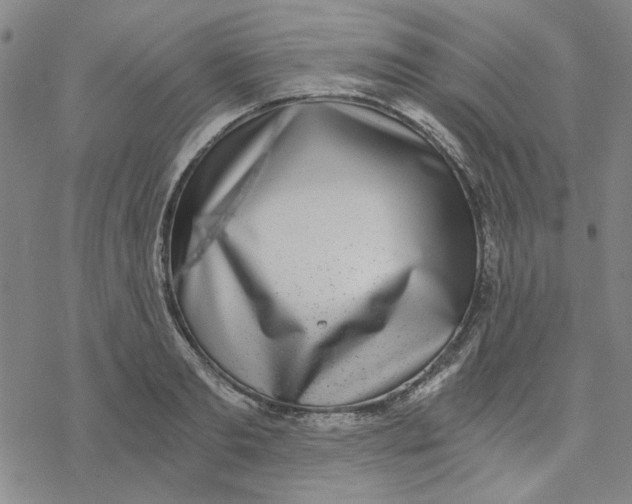 X0000076390893200610271550