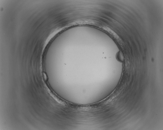 X0000076390894200610271550