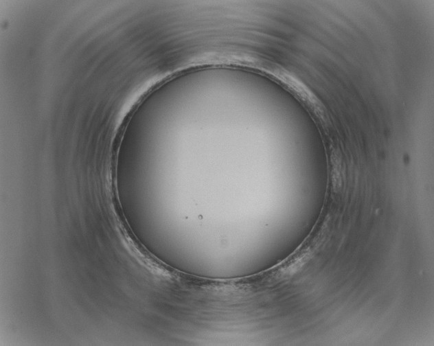 X0000076390896200610271550