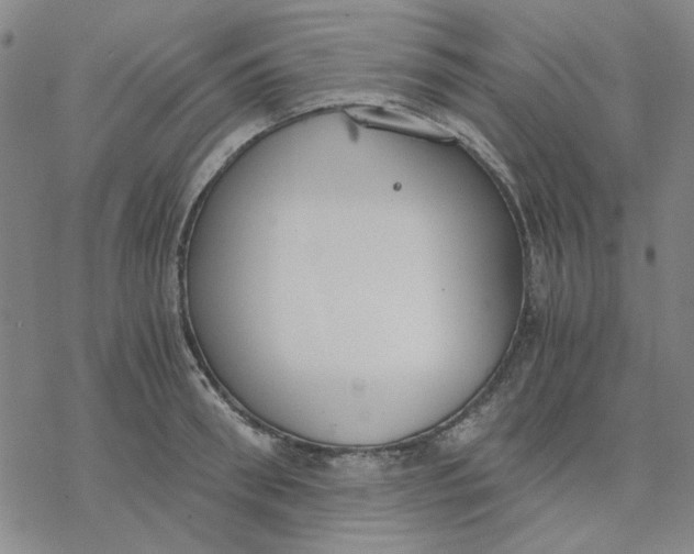 X0000076390898200610271550