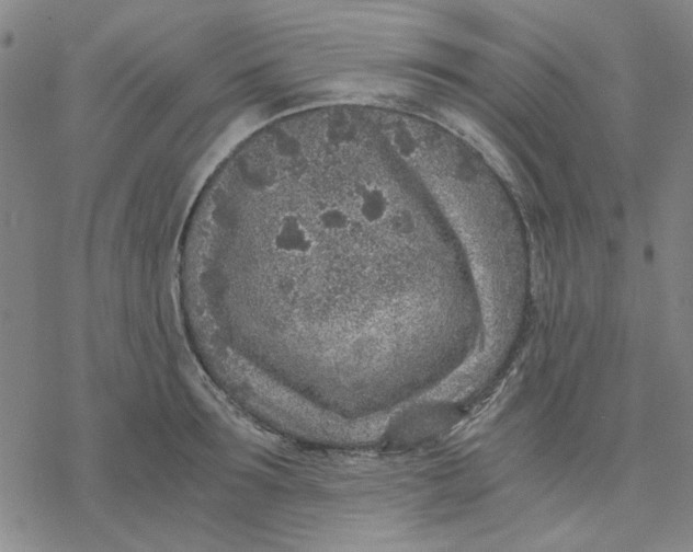 X0000076390899200610271550