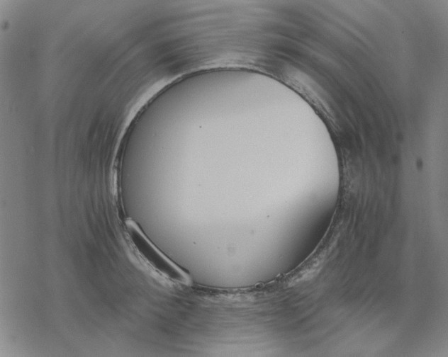 X0000076390900200610271550