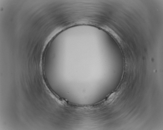 X0000076390902200610271550