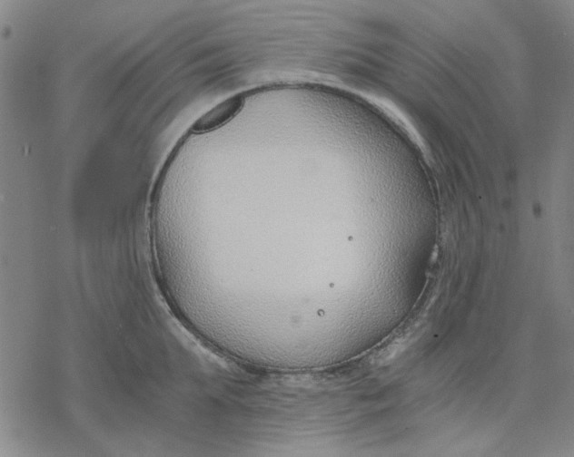 X0000076390903200610271550