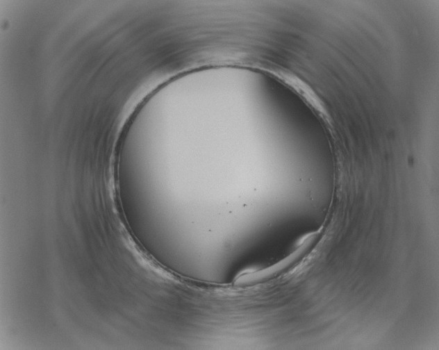 X0000076390904200610271550