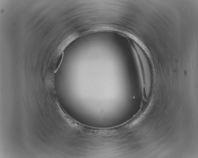 X0000076390905200610271550