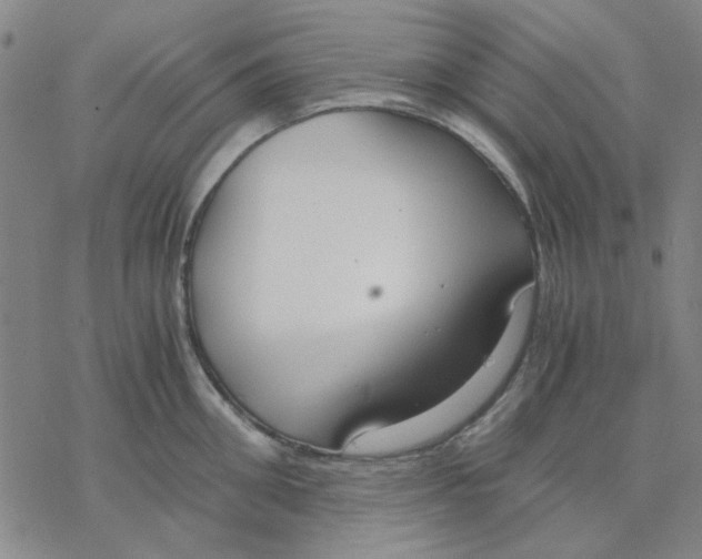 X0000076390906200610271550