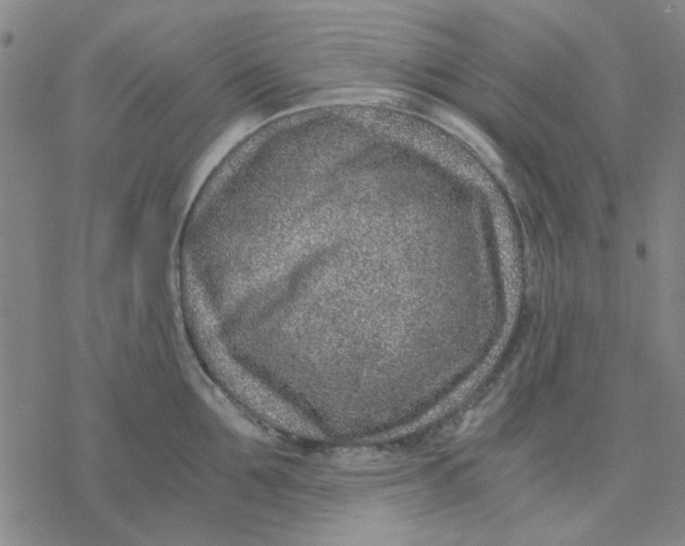 X0000076390907200610271550