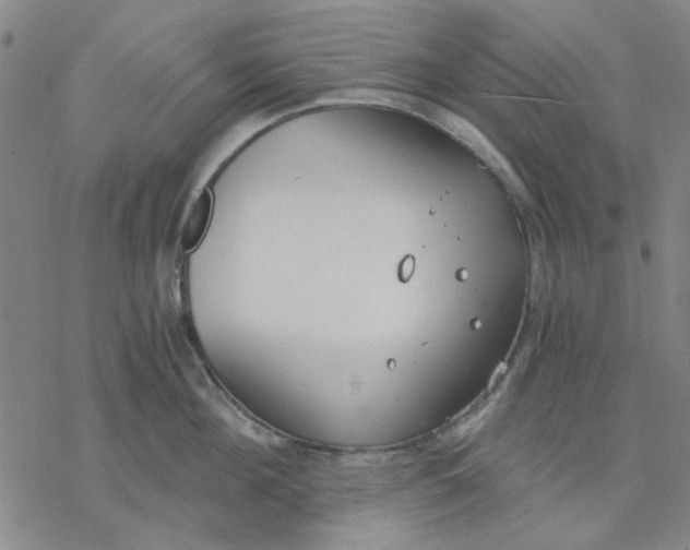 X0000076390908200610271550