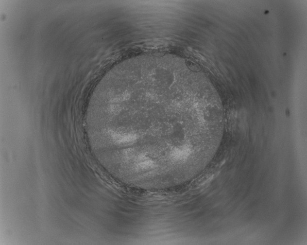 X0000076390913200610271549