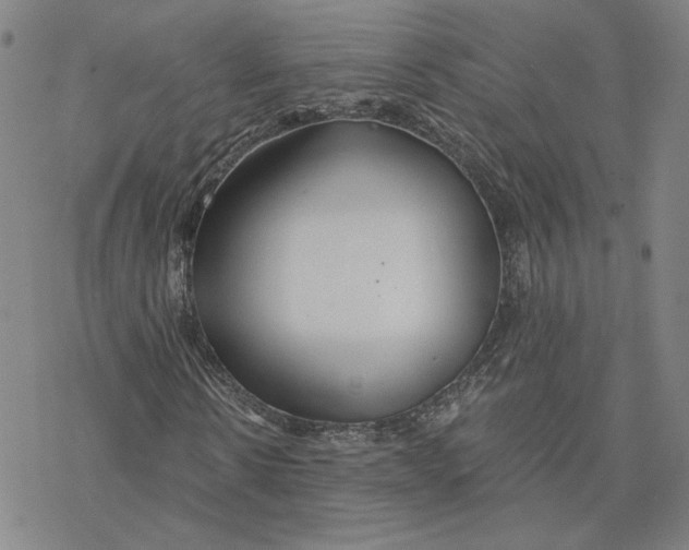 X0000076390914200610271549