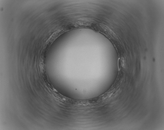 X0000076390915200610271549