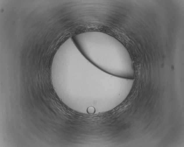 X0000076390916200610271549