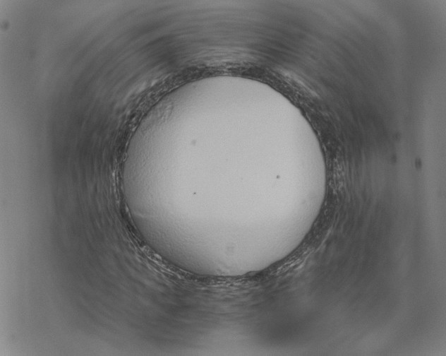 X0000076390917200610271549