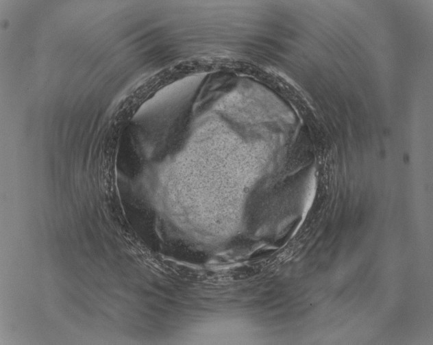 X0000076390919200610271549