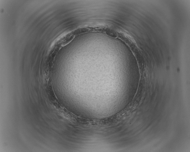 X0000076390920200610271549