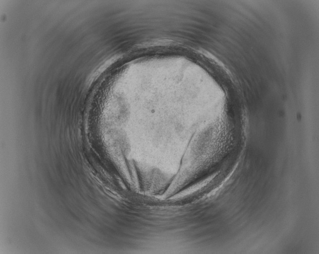 X0000076390921200610271549