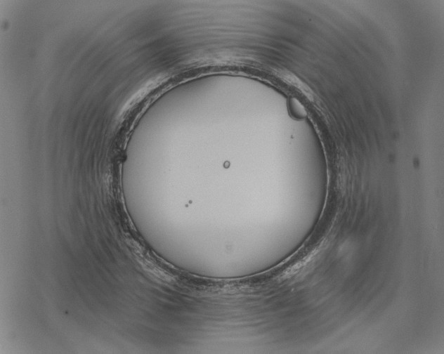 X0000076390922200610271549