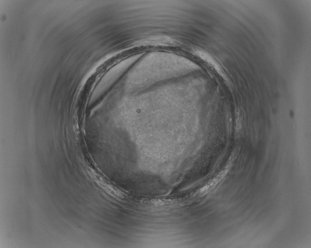 X0000076390923200610271549