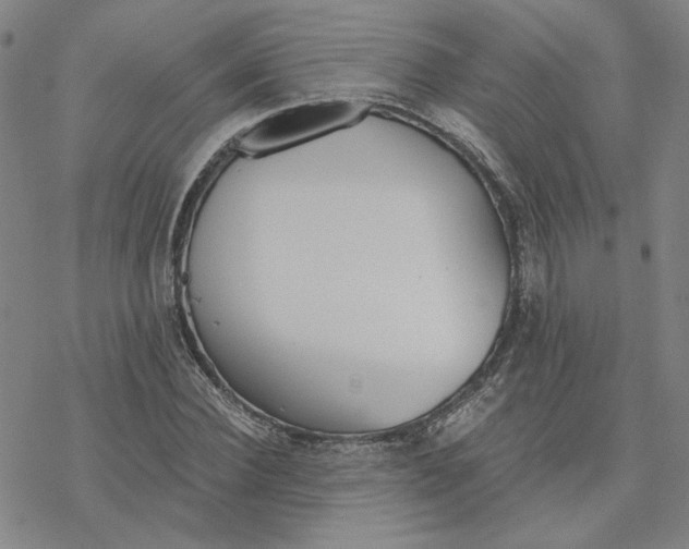 X0000076390924200610271549