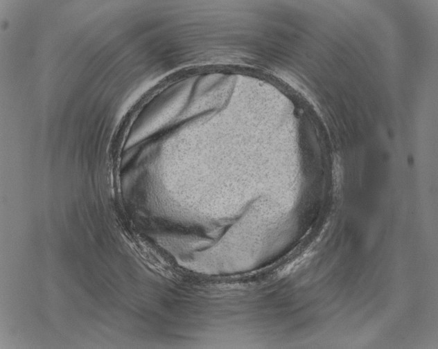 X0000076390925200610271549