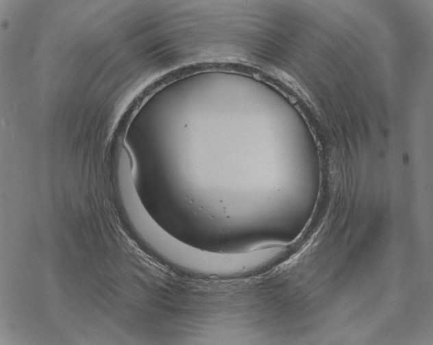 X0000076390926200610271549