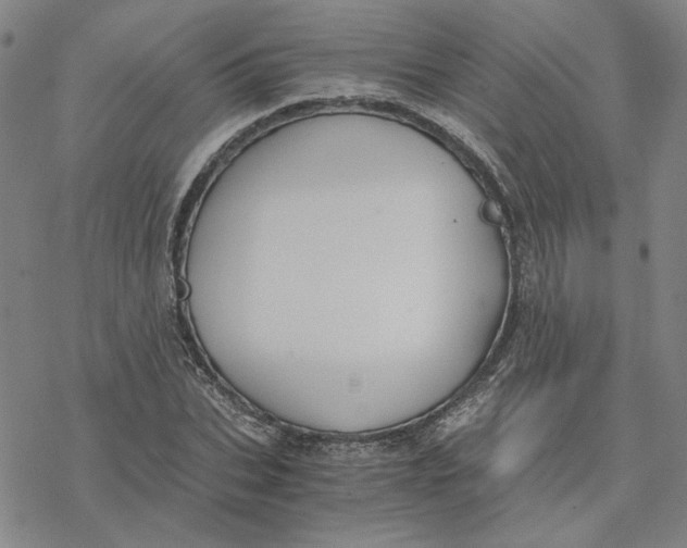 X0000076390927200610271549