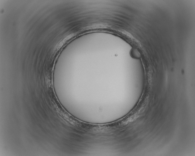 X0000076390929200610271549