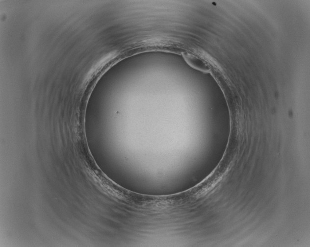 X0000076390930200610271549