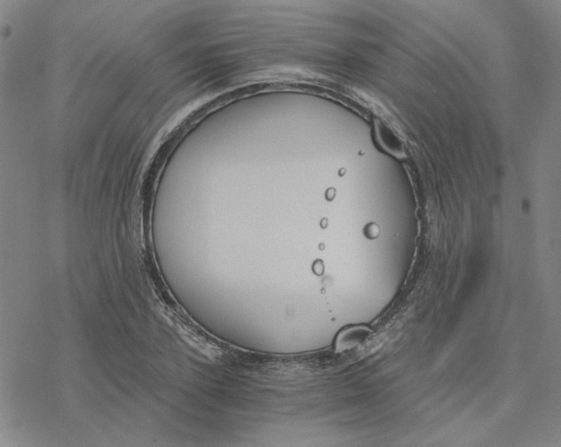 X0000076390931200610271549